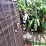 outing_a-thumb12