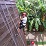 outing_a-thumb14